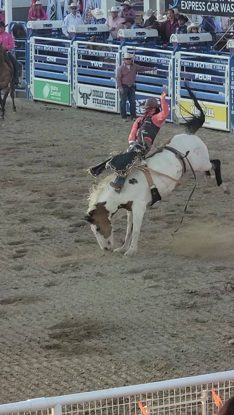 Little Cowboys, Seasoned Pros