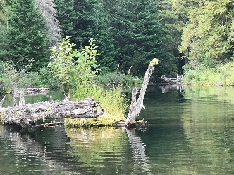 Paddling North Toward Upper Priest Lake