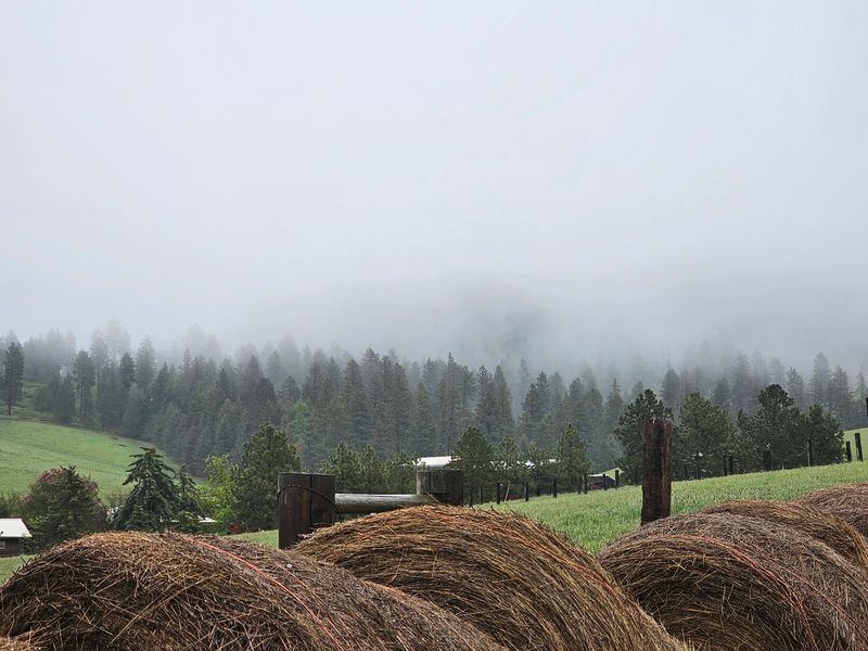 Every Bale Of Hay Comes From Somebody's Kindness