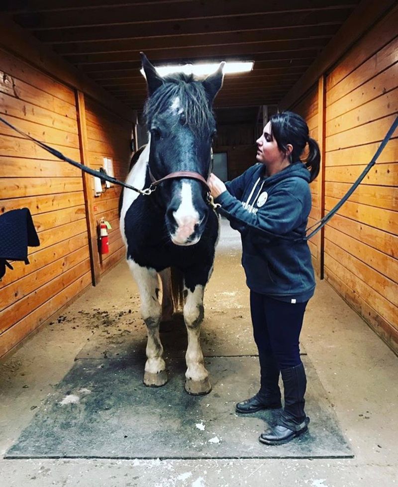 Horse Care Adds Another Side To The Experience