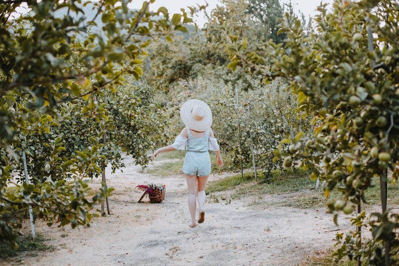A Garden Built for Curious Kids