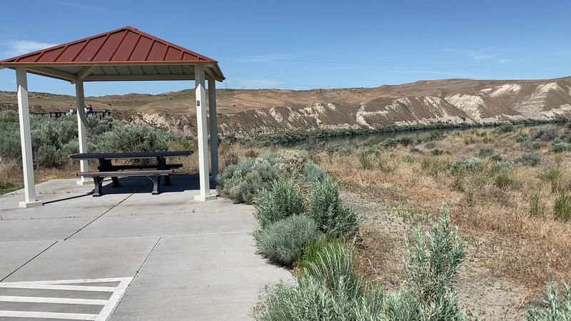 Pelicans, Picnics, And A Surprisingly Decent Restroom