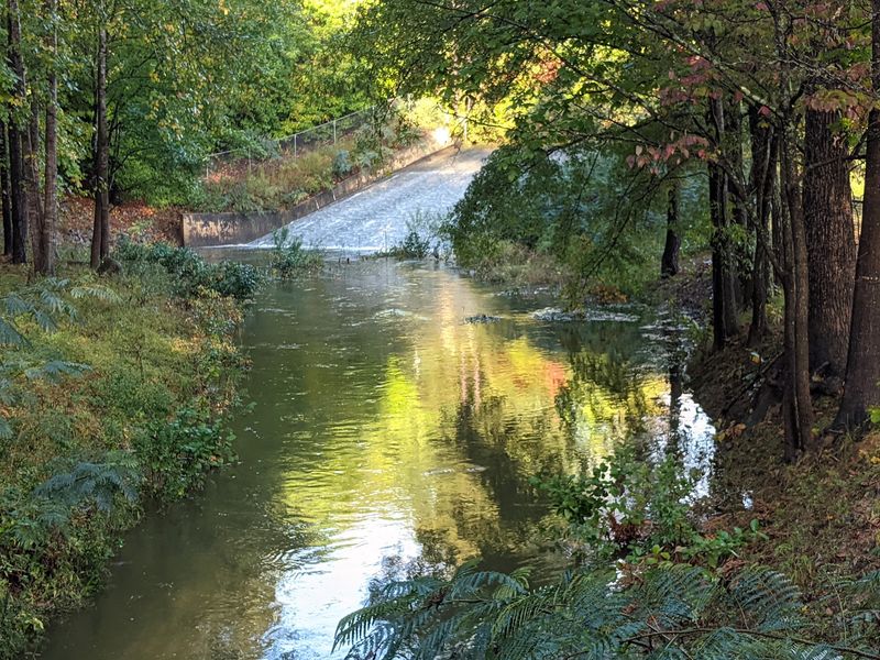 Explore More Than 20 Miles Of Greenways Without Leaving Town