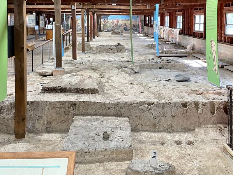You Can Peer Right Into The Ground At This Dig-Site Museum
