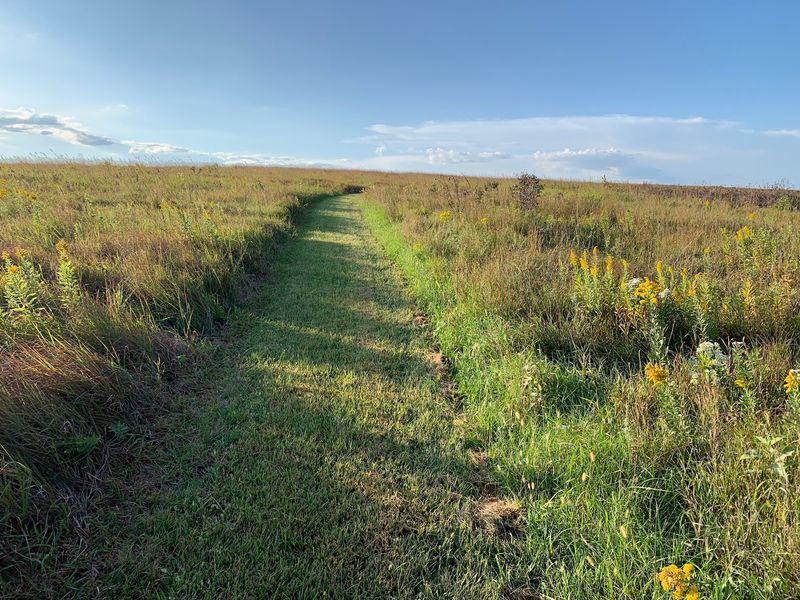 A 1,160-Acre Slice Of Real Prairie Waits Just Southwest Of Lincoln