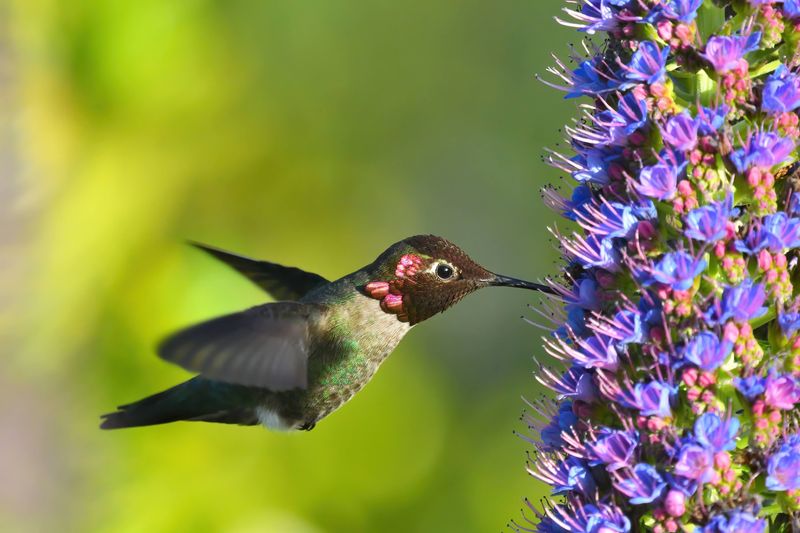 A Nearby Bird Sanctuary Protects Nesting Wildlife