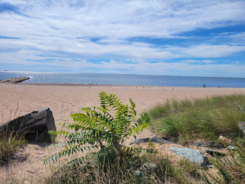 Savin Rock Beach, West Haven