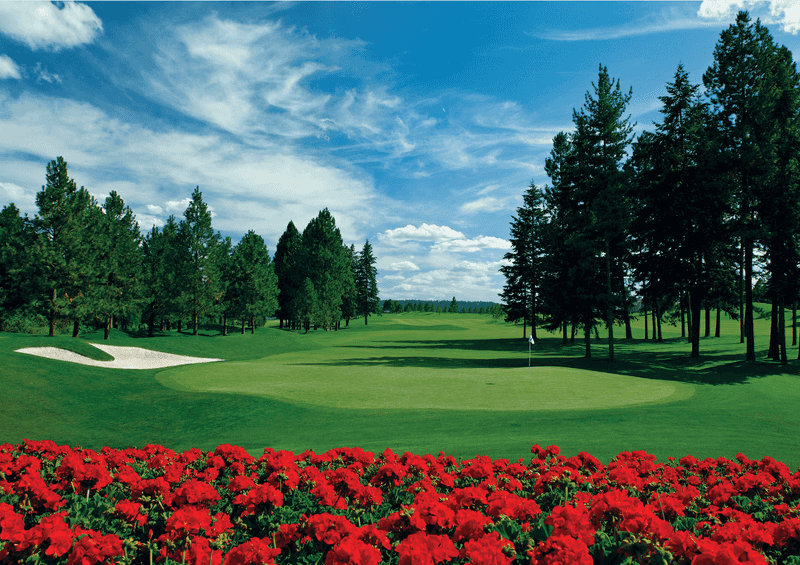 Fairways So Tidy They Look Freshly Combed
