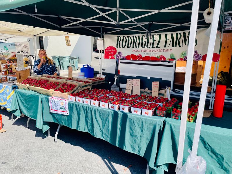 The Burlingame Fresh Market And Its Local Food Vendors