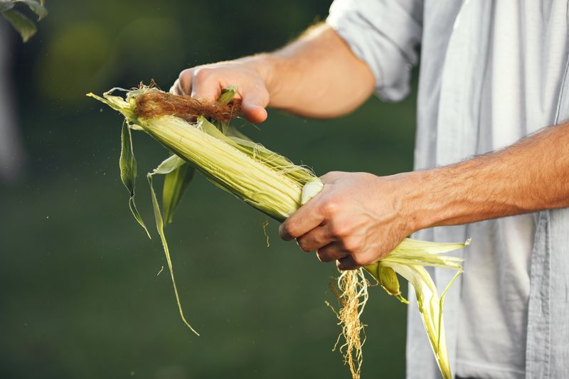 This North Carolina Fall Festival Is All About Shucking Corn, Working Gristmills, And Forgotten Farm Traditions - Decor Hint Old Skills Get Their Moment In The Spotlight
