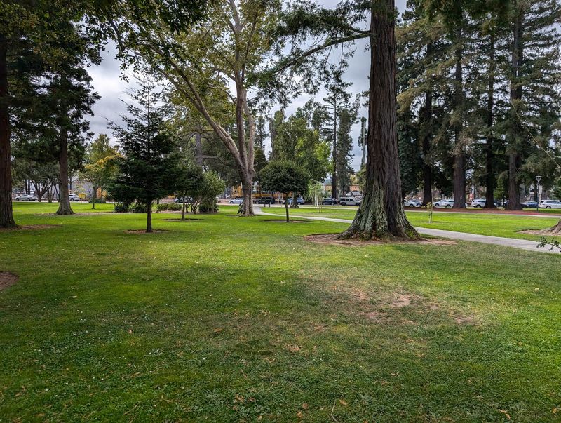 Washington Park And Its Shady Green Spaces