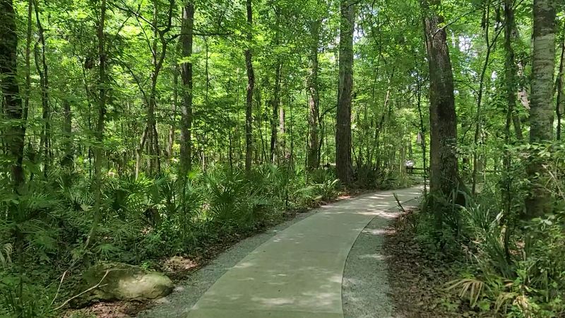 Half a Mile Around the Rim