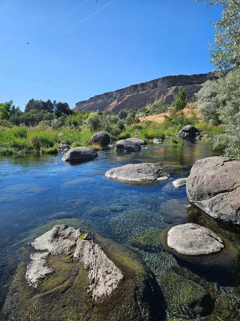 Clear Enough To Count Trout From The Bank