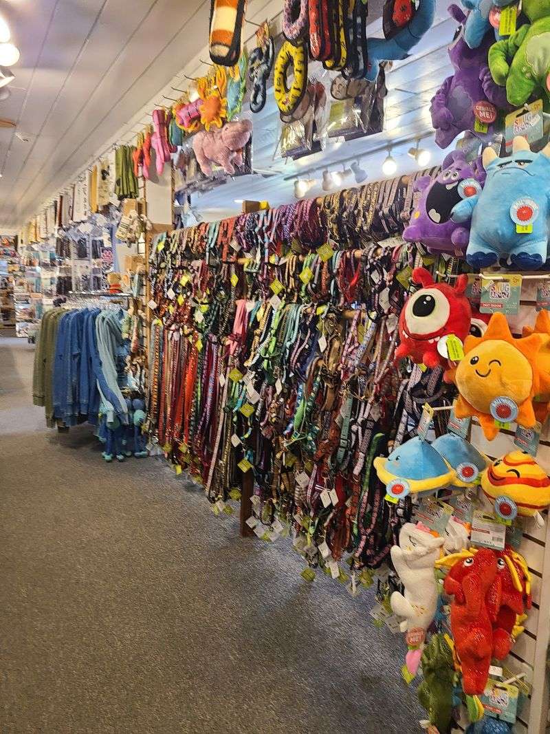 Cat And Dog Lovers Will Feel Right At Home In This Connecticut Gift Shop Filled With Adorable Finds - Decor Hint Treats, Toys, And Tail-Approved Goodies