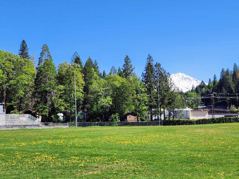 Dunsmuir