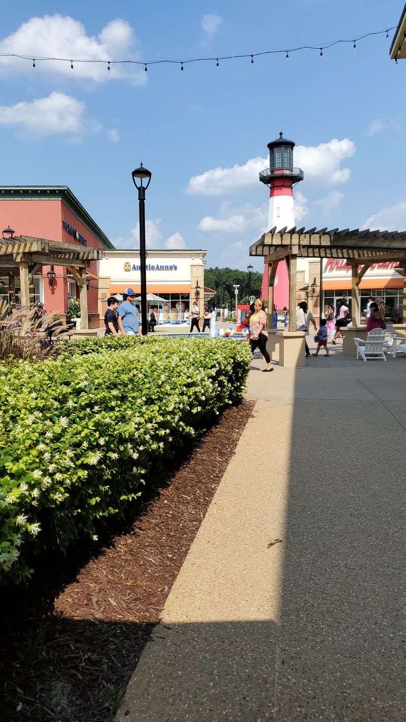 Shopping Bags And Easy Errands