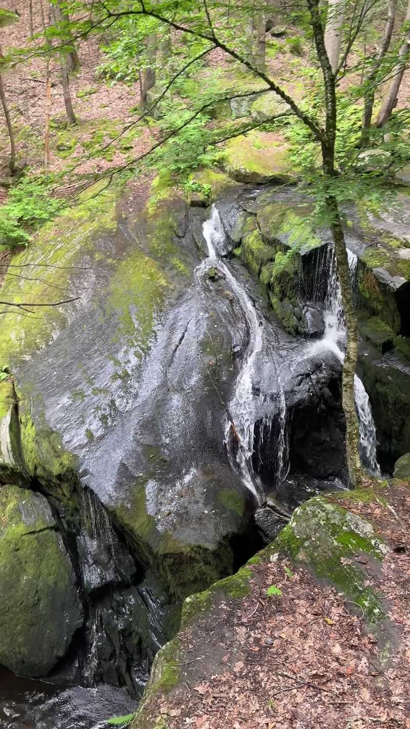 Cascades Appear At Different Points Along The Route