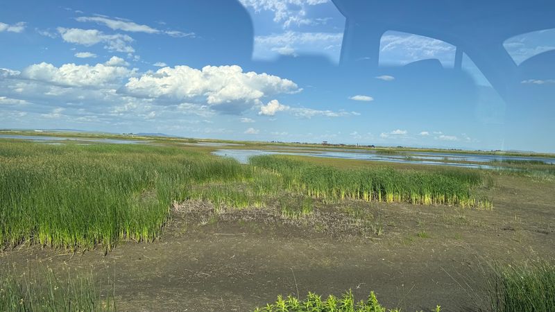 A Barn, A Rat Farm Pond, And WPA Hands