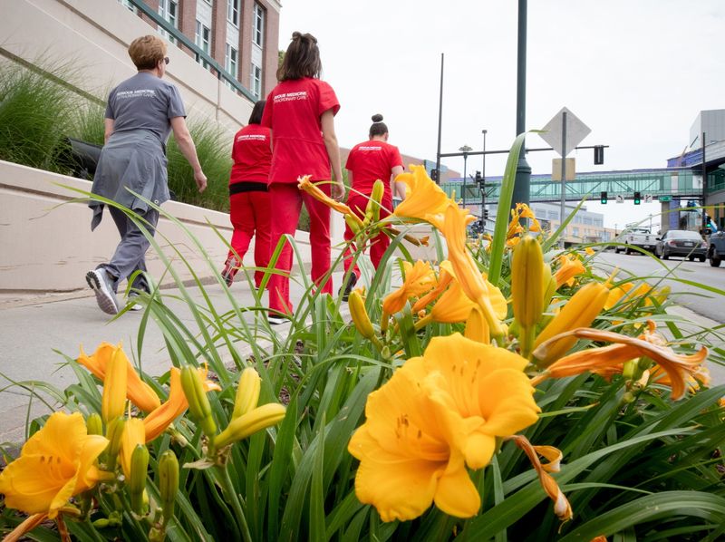 Teaching Hospital Advantages