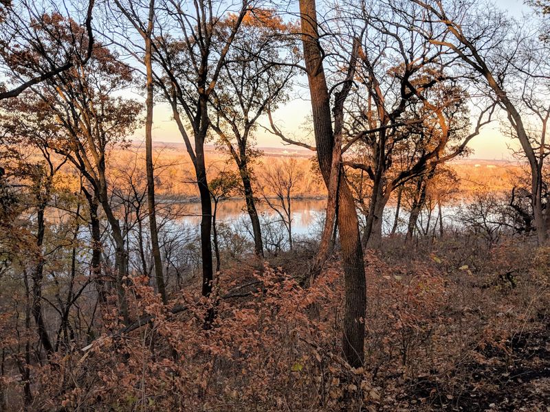 Why This Forest Earns a Spot on Your Nebraska List