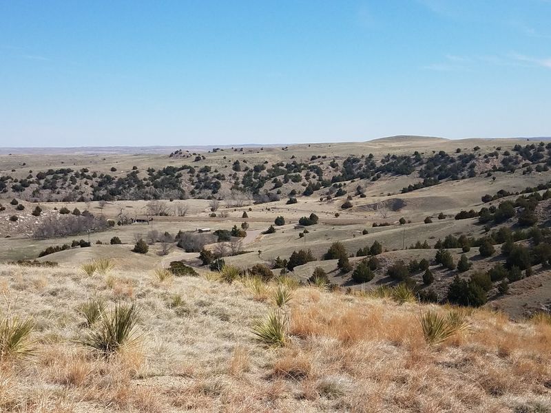 Windlass Hill Next Door