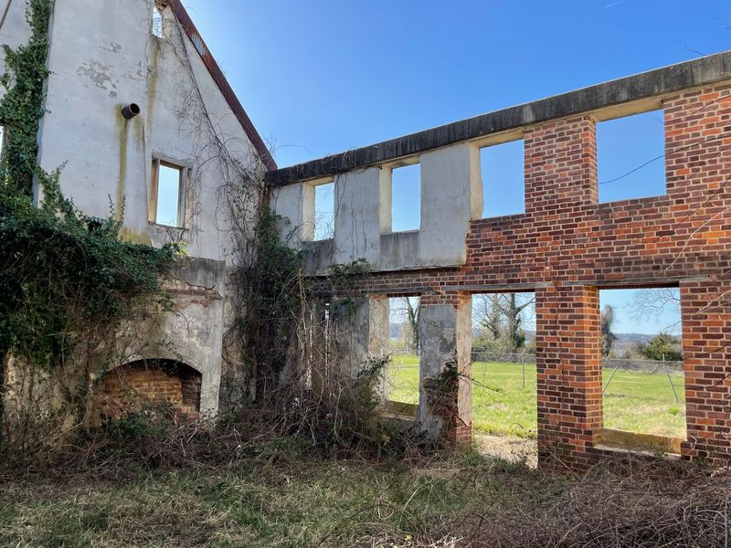 How The Brick Shell Survived