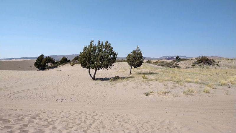 Keeping The Sand Golden For Everyone