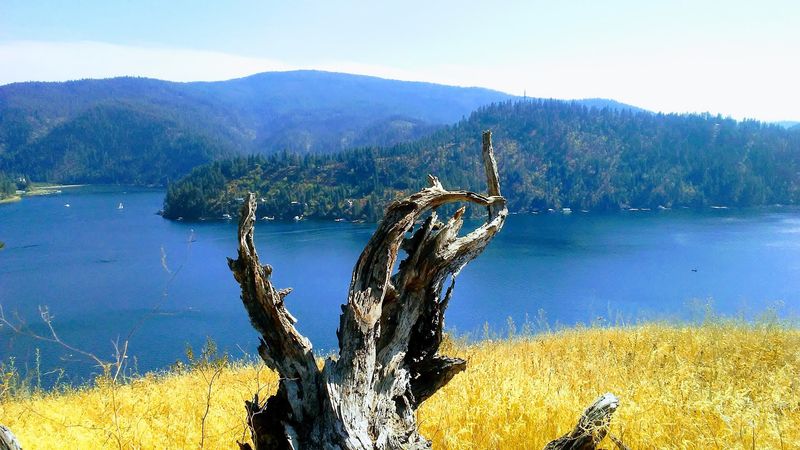 Lake And Mountain Scenery
