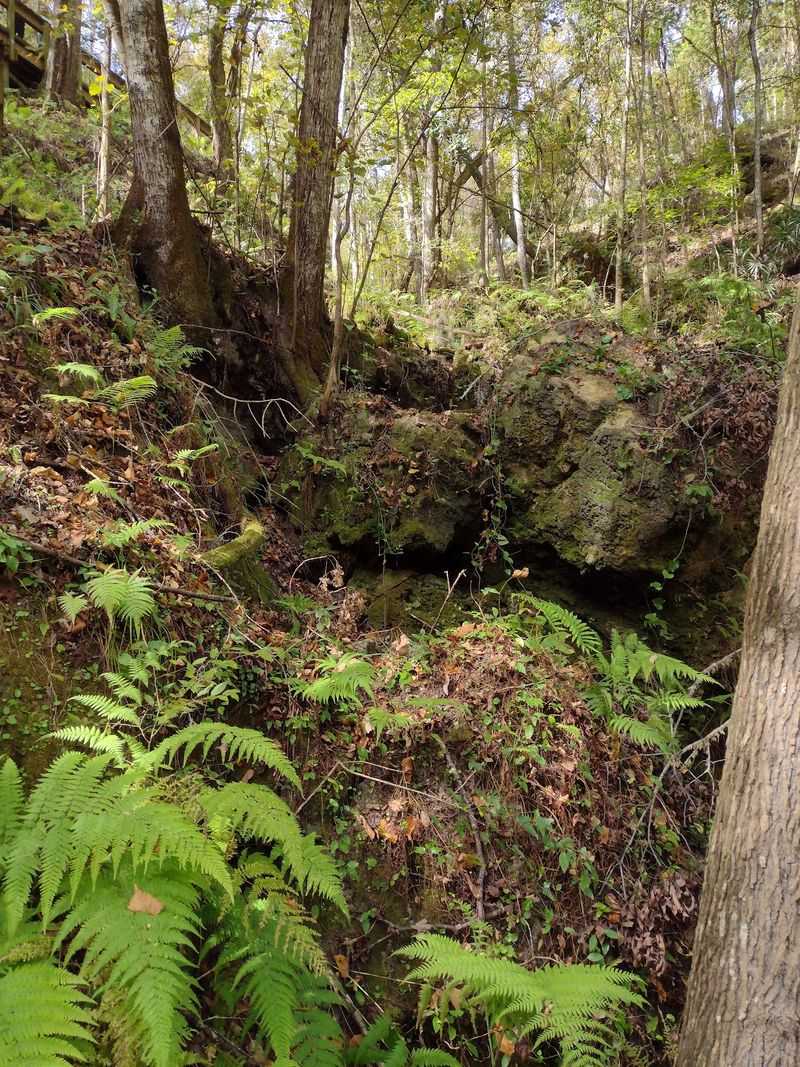 Stone Walls Holding Millions of Years