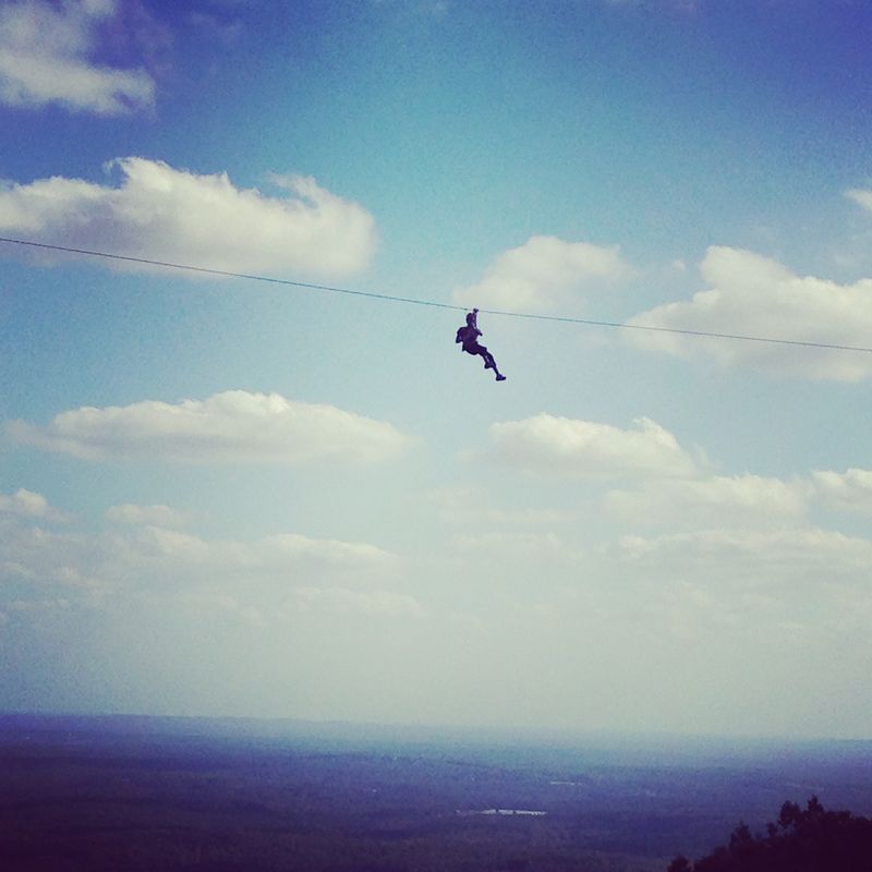 Soar Above The Trees And Test Your Aim