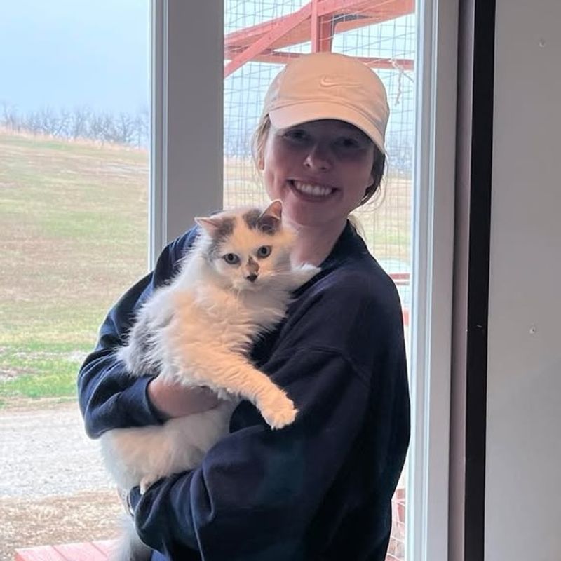 This Nebraska Cat Sanctuary Gives More Than 100 Rescued Cats A Cage-Free Home To Roam - Decor Hint Planning Your Trip To Auburn