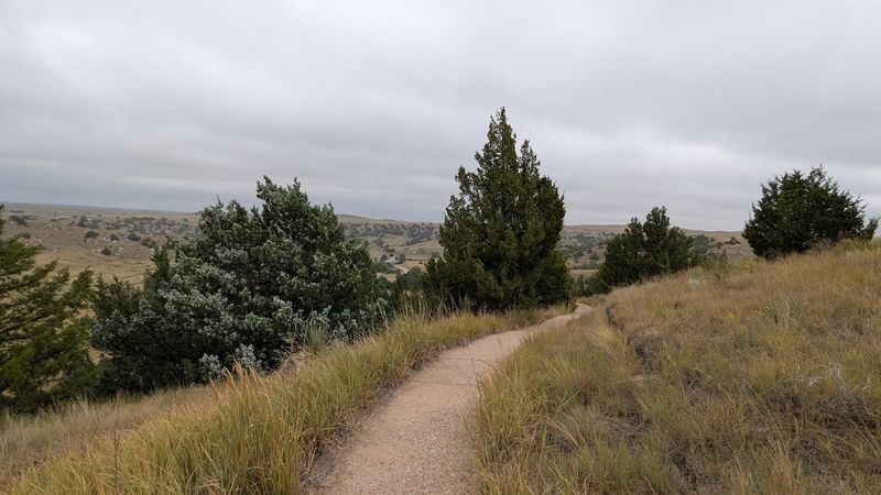 Accessibility and the Steep Grade