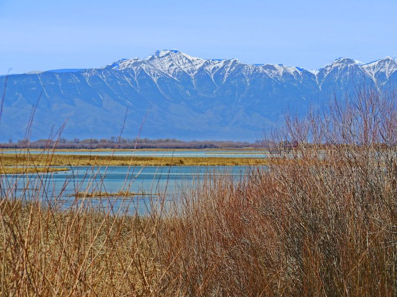A Big Marshy Lake Waiting On The Eastern Idaho Flats