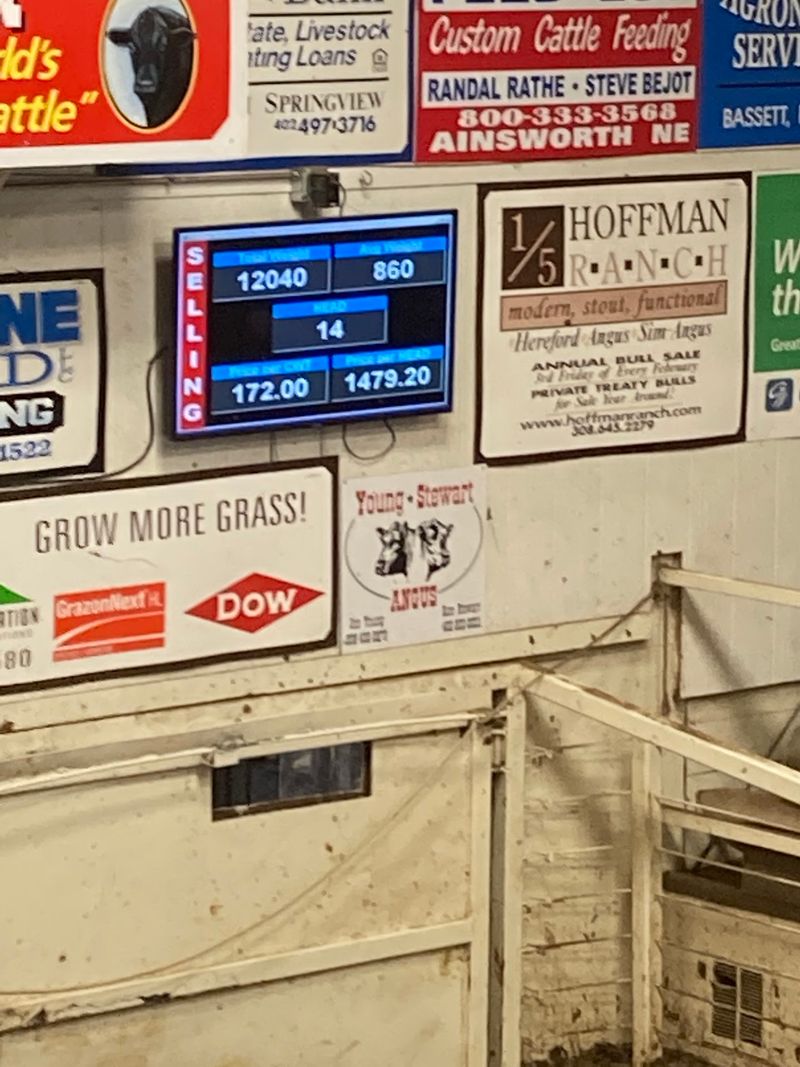 Since 1937 This Nebraska Sale Barn Cafe Has Fed Ranchers Hot Beef Sandwiches On Auction Day - Decor Hint The Kind Of Staff That Makes Strangers Feel Like Neighbors