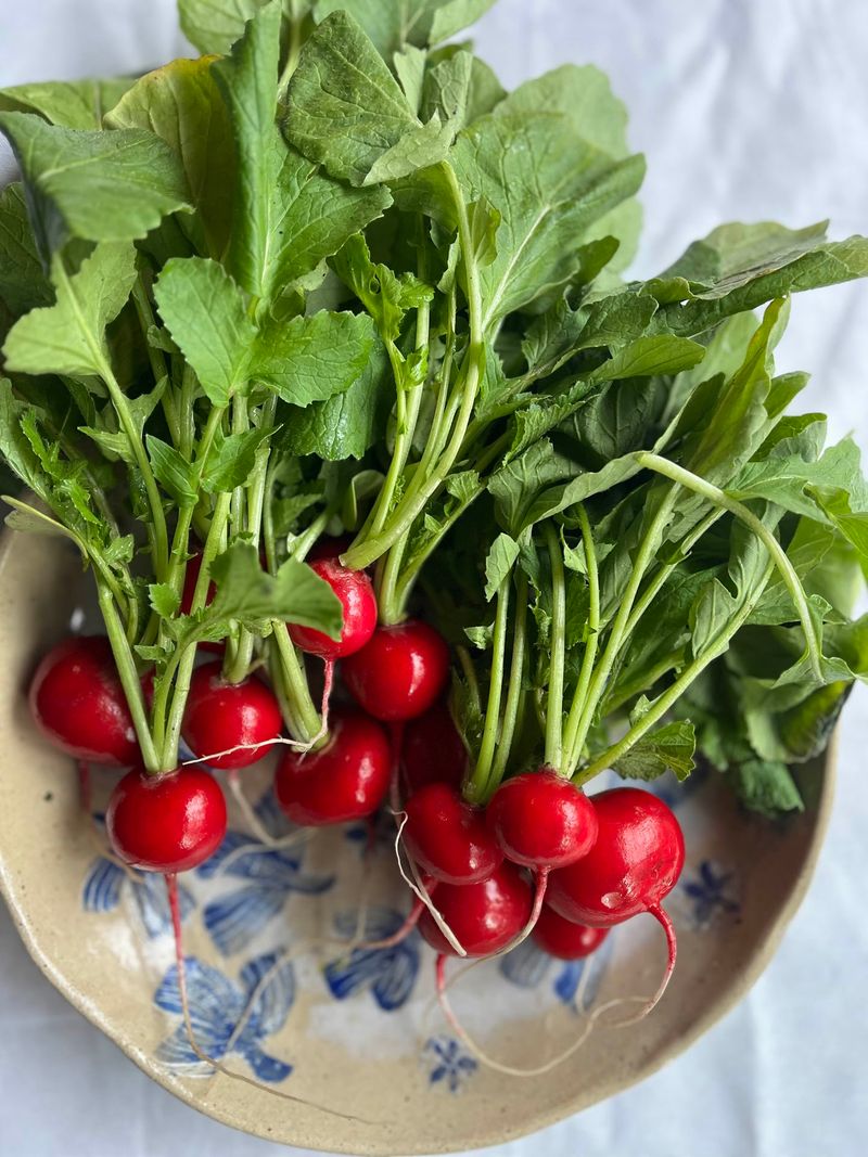 Organic Produce That Keeps Earning Top Marks