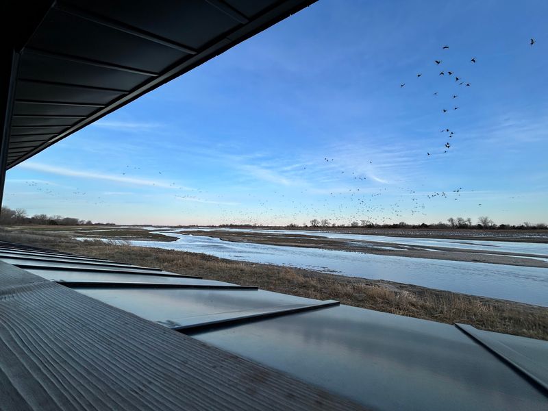 Over 400,000 Sandhill Cranes Roost At This Nebraska Sanctuary And Viewing Blinds Book Up By Winter - Decor Hint Riverfront Blinds That Put You Inside the Crane Show