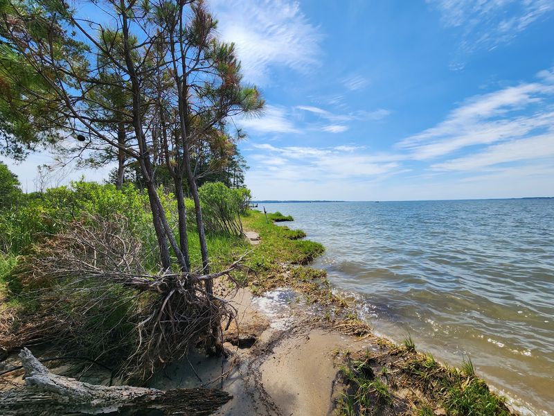 10 Most Underrated State Parks In Virginia For A Quiet Weekend Away - Decor Hint Belle Isle State Park, Lancaster