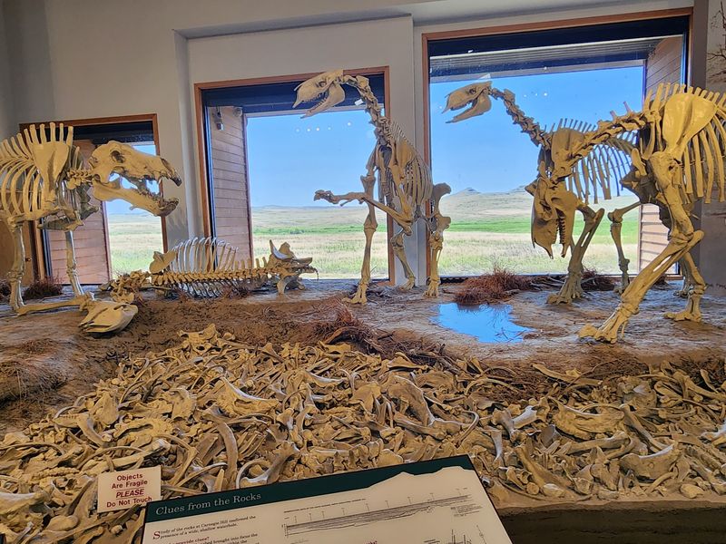 Inside The Visitor Center, The Bonebed Steals Your Attention