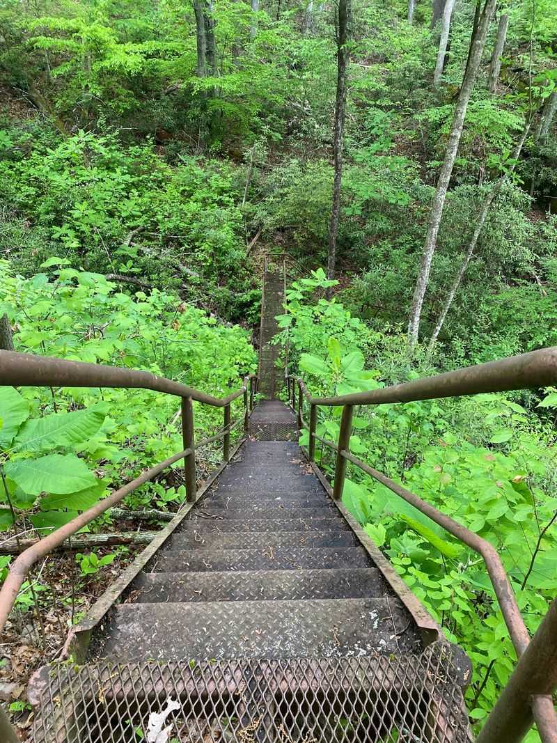 Work Up An Appetite On Twelve Miles Of Trails