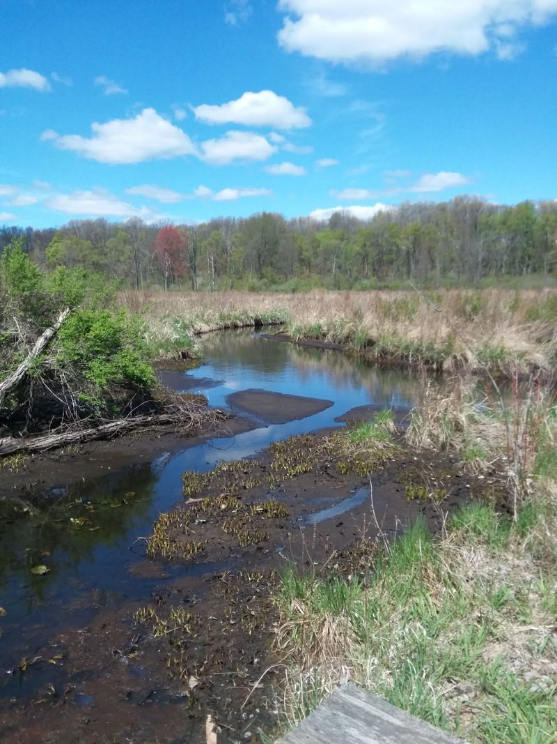 Glass Creek Brings A Paddle Option For Members