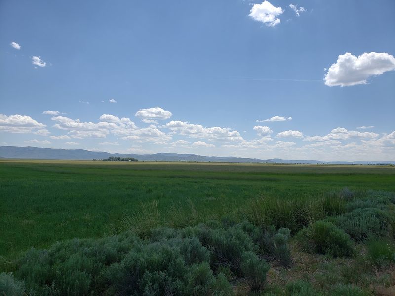 Camas County and Central Idaho Meadows