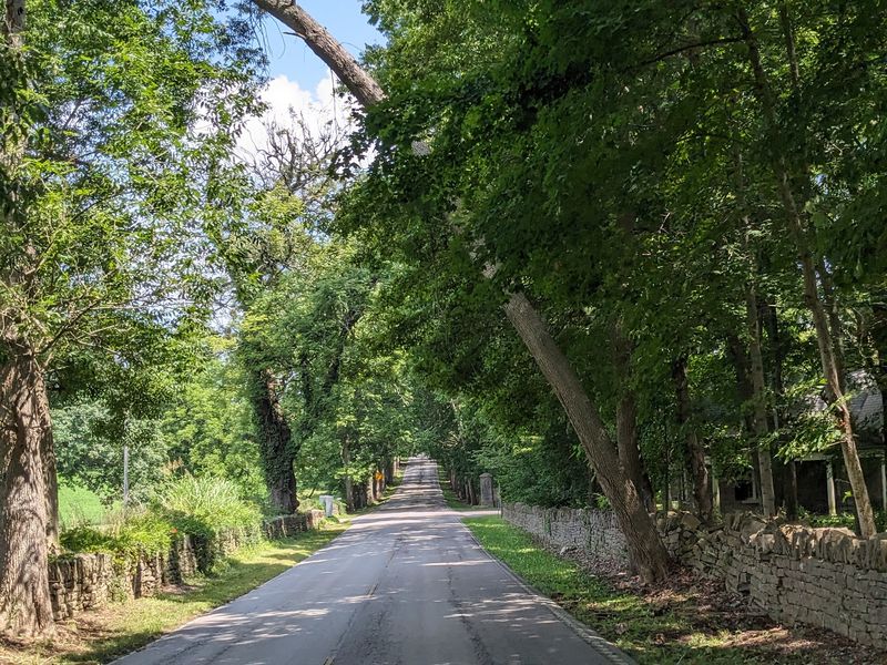 Kentucky Has A Breathtaking Tree Tunnel Road, And It Looks Straight Out Of A Movie - Decor Hint Those Stone Fences Were Stacked By Hand Without Any Mortar