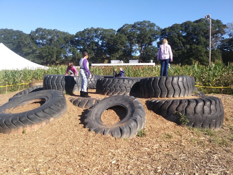 Little Explorers Get A Playground Made Of Farm Fun