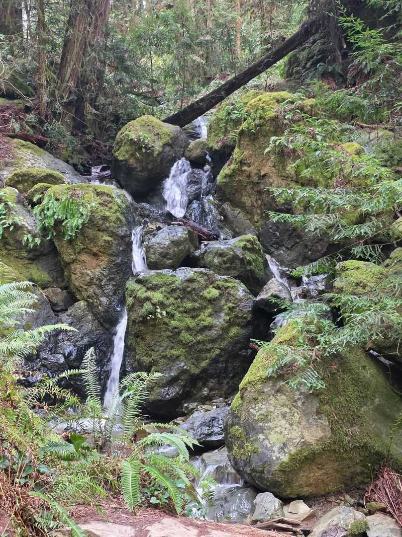 California’s November Hike Of The Month Is A Scenic Trail Worth Exploring Before Winter Arrives - Decor Hint Follow The Sound Of Falling Water All The Way Down