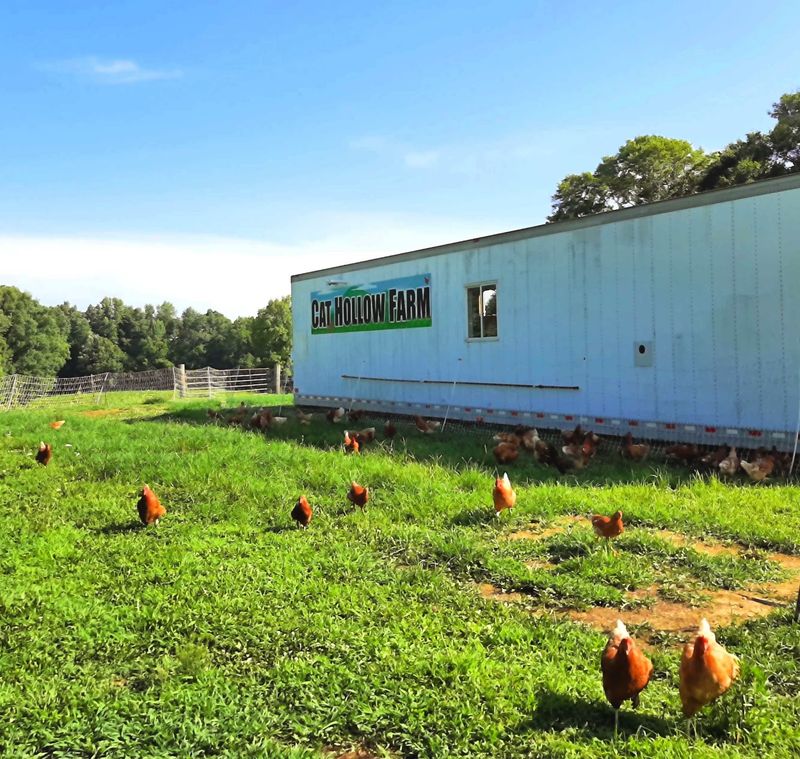 See Where Supper Grows On A Scheduled Farm Tour