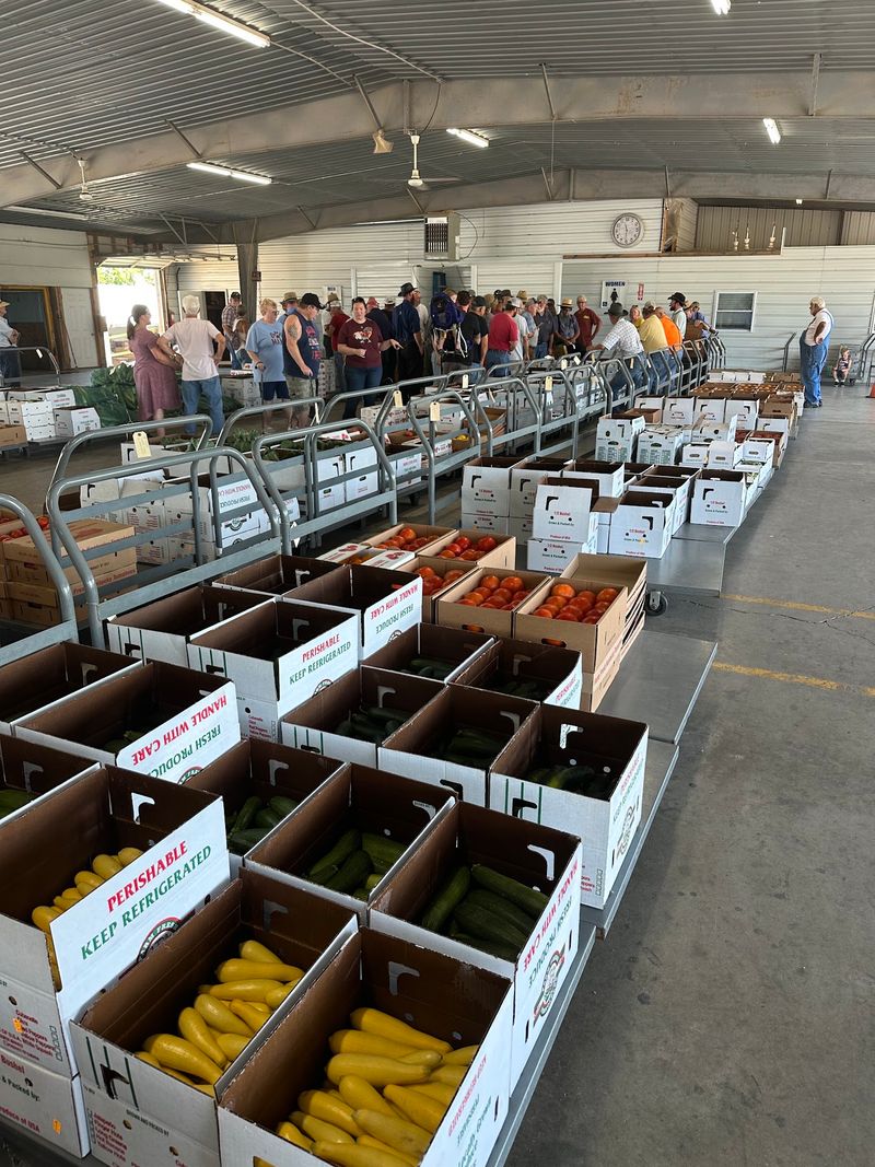 Summer Turns The Sale Barn Into A Rainbow Of Crates
