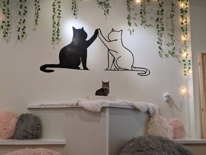 Party Plans Just Got A Lot Furrier