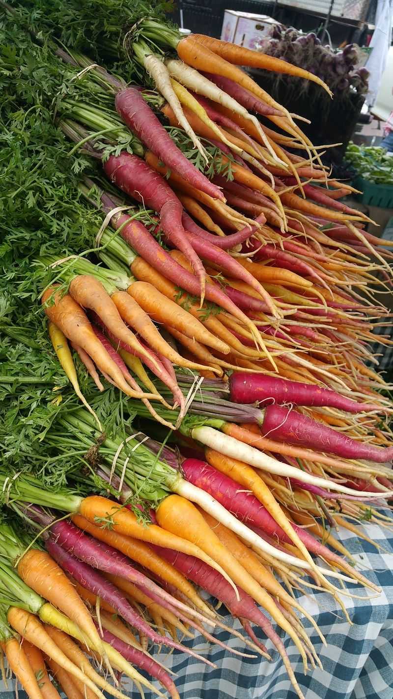 This Connecticut Farmers Market Was Just Named One Of The 11 Best In America - Decor Hint Your Shopping Bag Is Going To Fill Up Fast