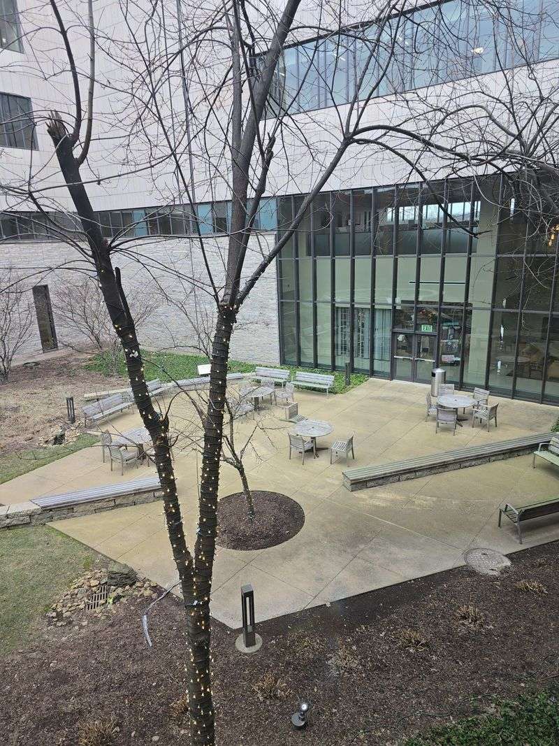 A Rooftop Garden Waits Just Steps From The Maternity Unit