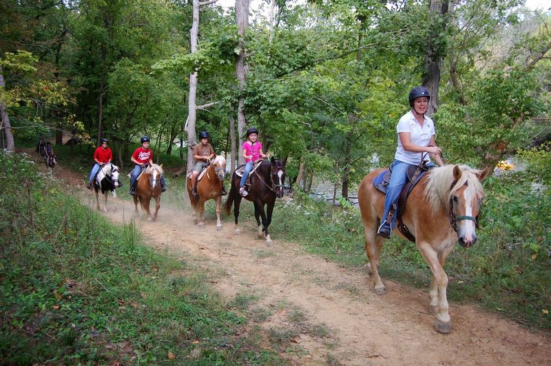 Saddle Up With Instructors Who Know Their Horses